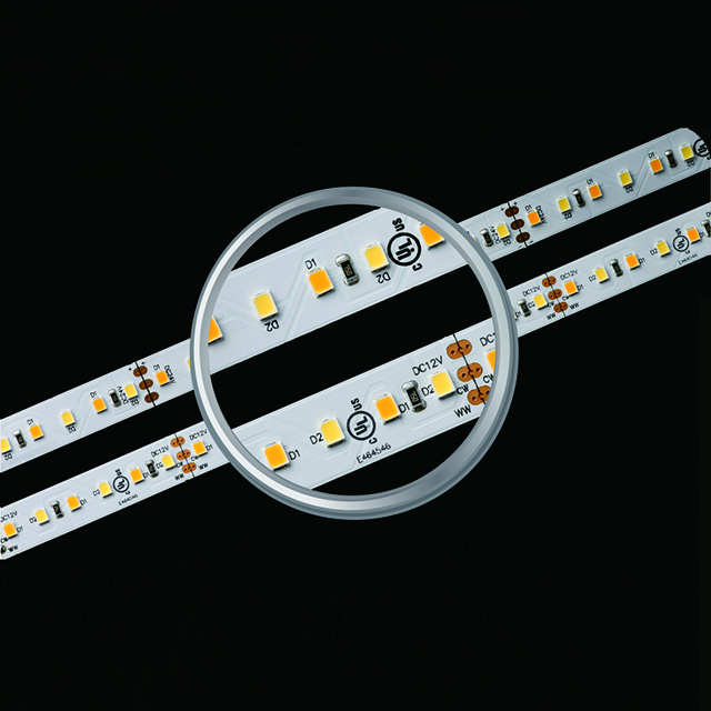 SMD2835 120LEDs 19.2W Color Temperature Adjustable Led Strip Light
